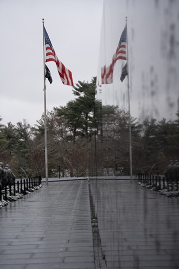 A Gallery of Reflections — photograph 6