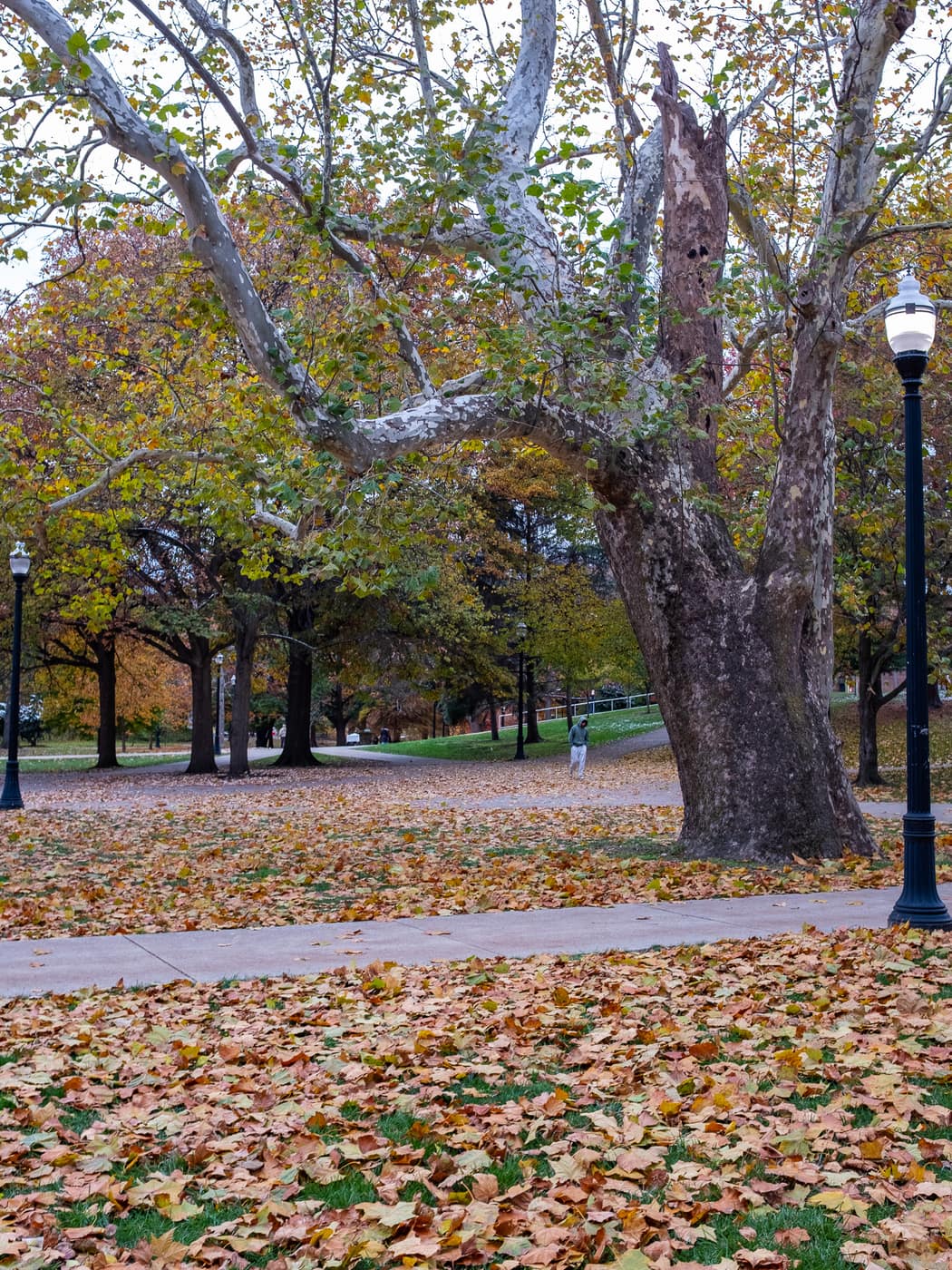 Ohio State University — photograph 5