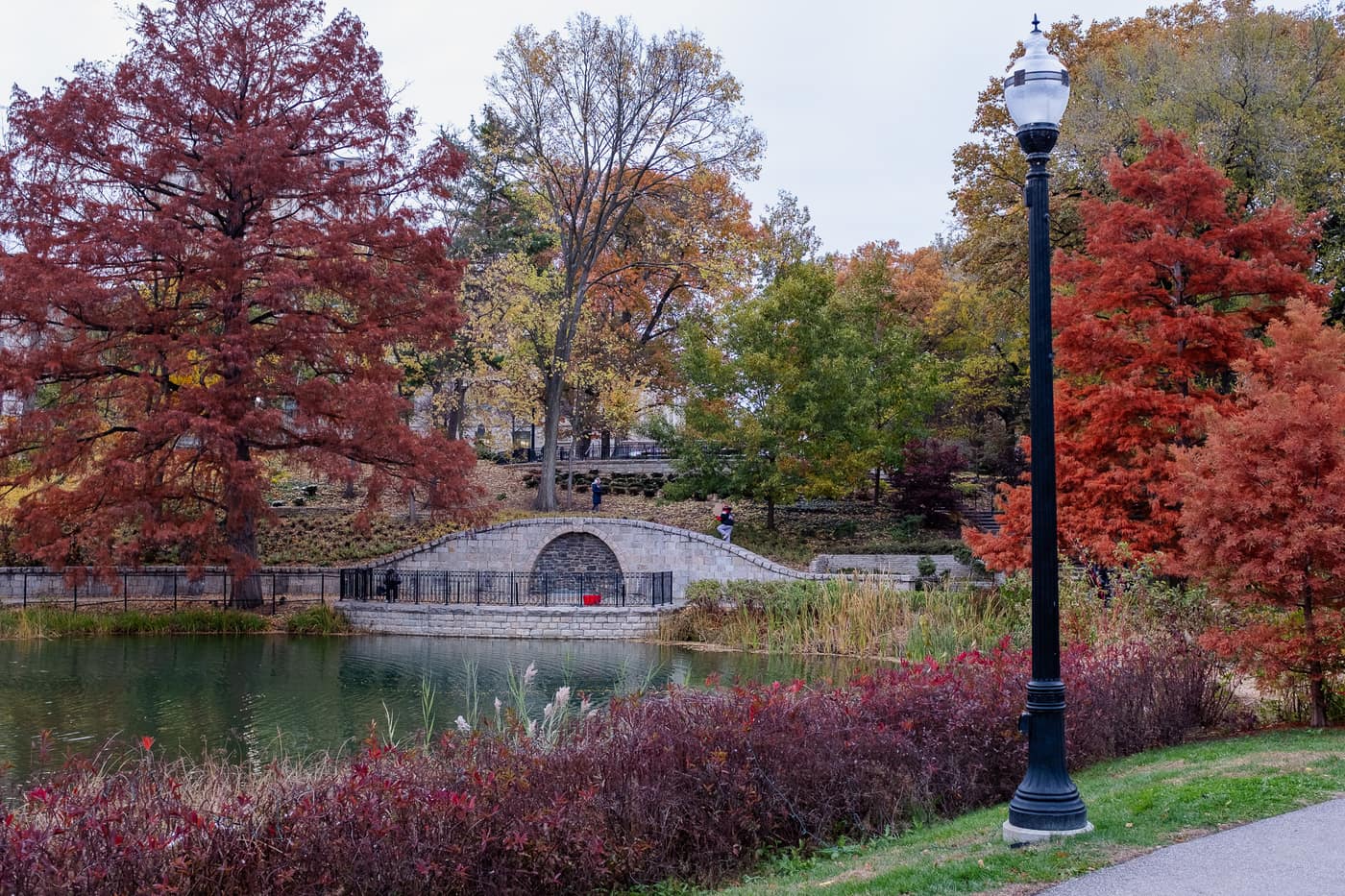 Ohio State University — photograph 3