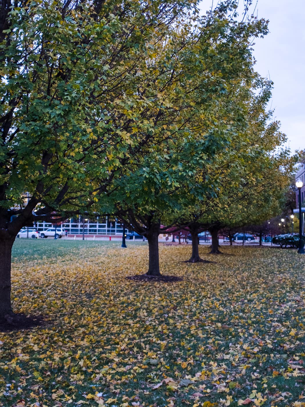 Ohio State University — photograph 7