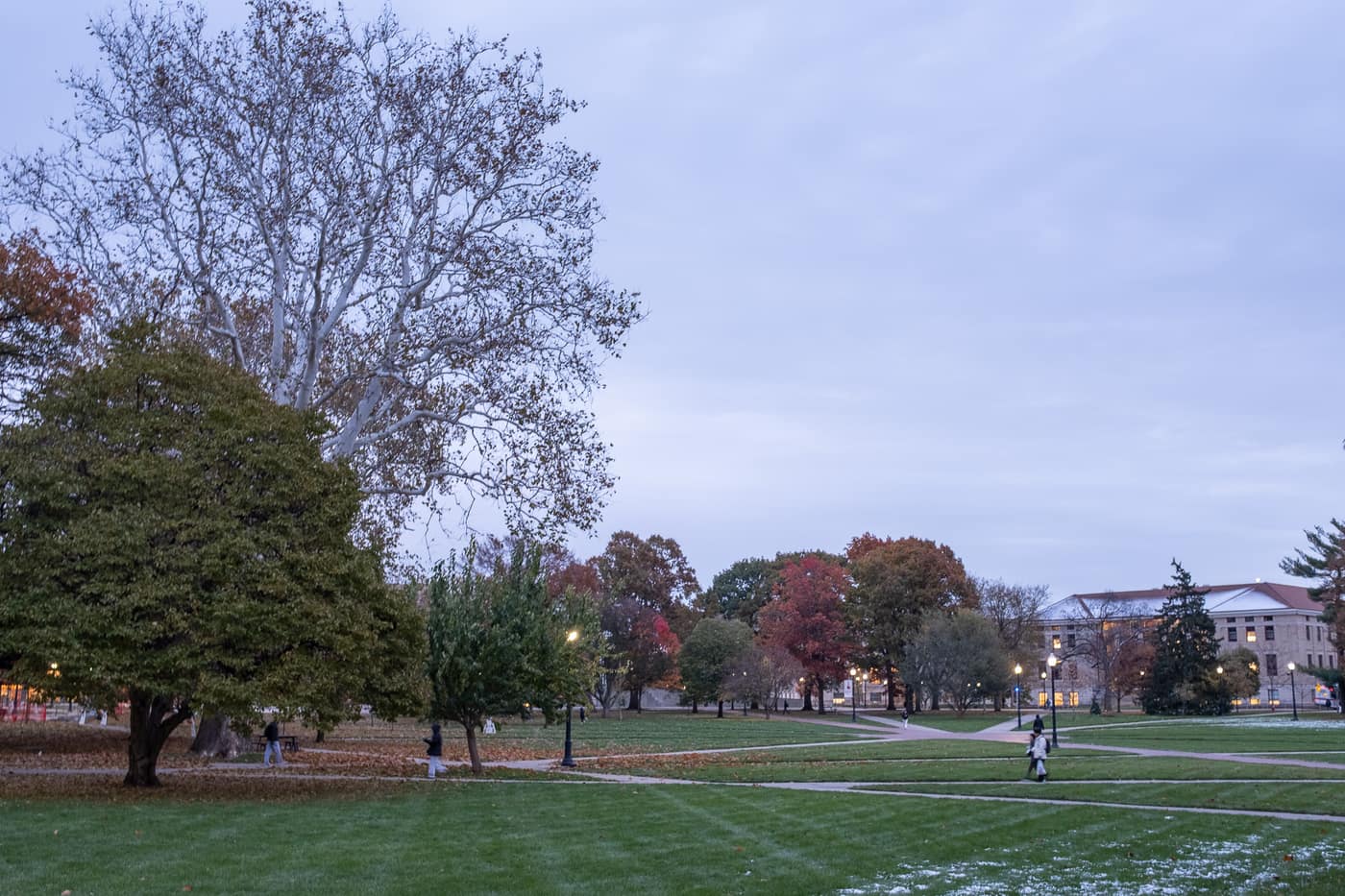 Ohio State University — photograph 6